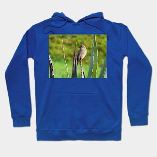 Prickly perch Hoodie